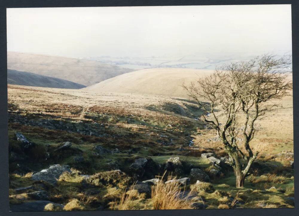 An image from the Dartmoor Trust Archive