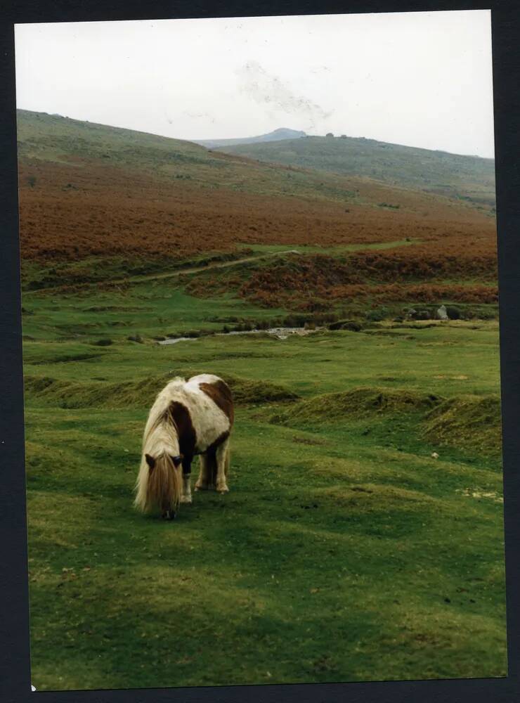 An image from the Dartmoor Trust Archive