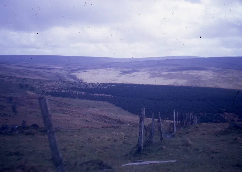 An image from the Dartmoor Trust Archive