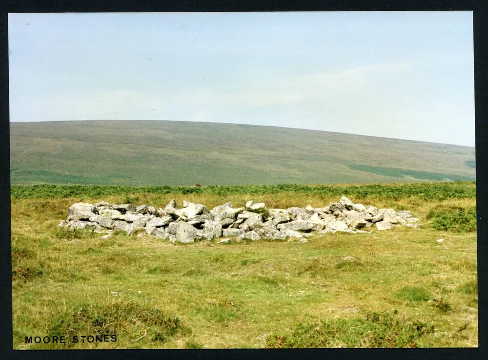 An image from the Dartmoor Trust Archive