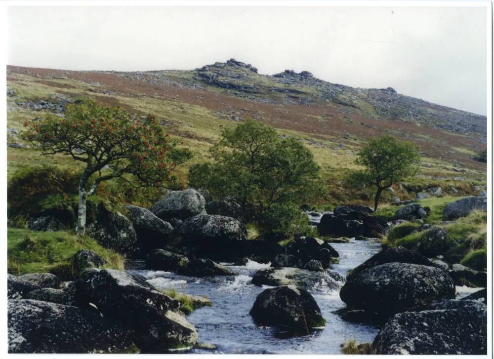 An image from the Dartmoor Trust Archive