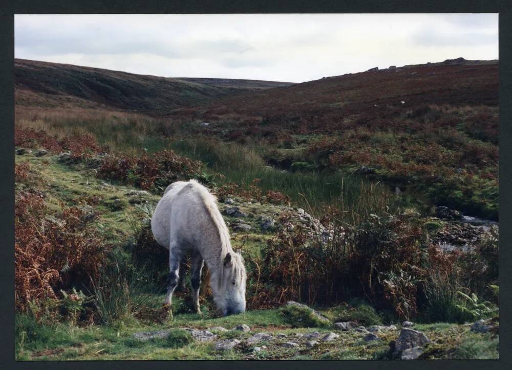 An image from the Dartmoor Trust Archive