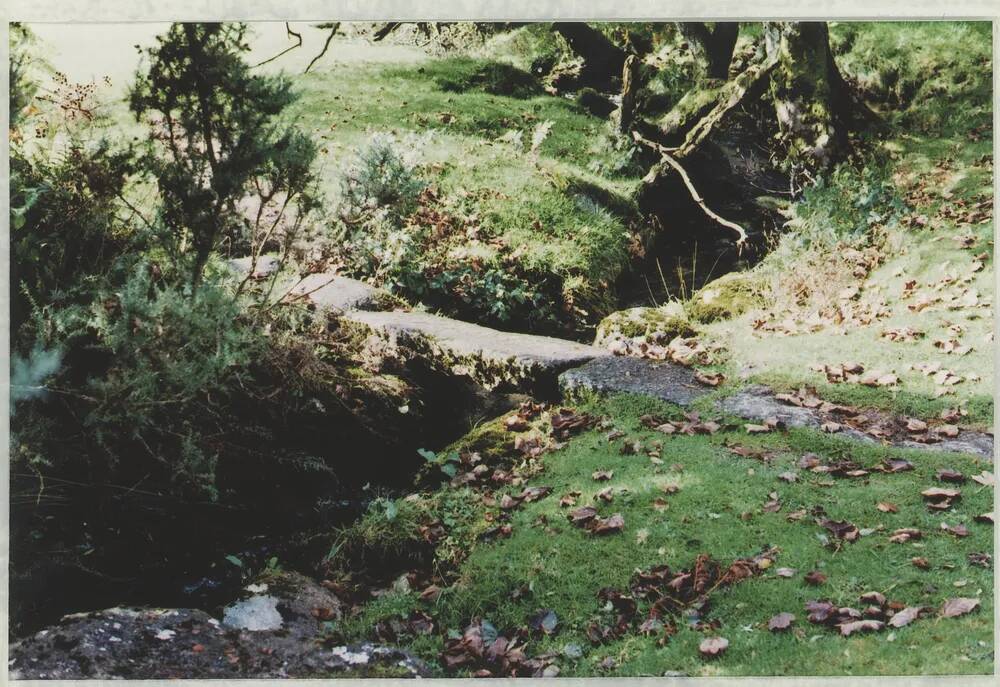 An image from the Dartmoor Trust Archive