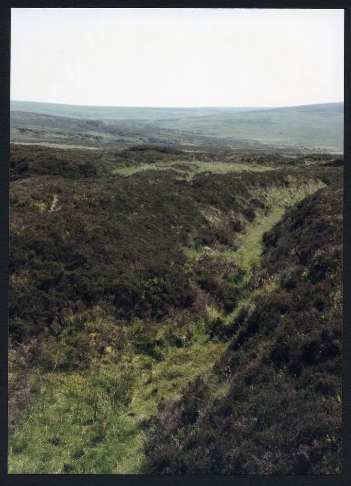 An image from the Dartmoor Trust Archive