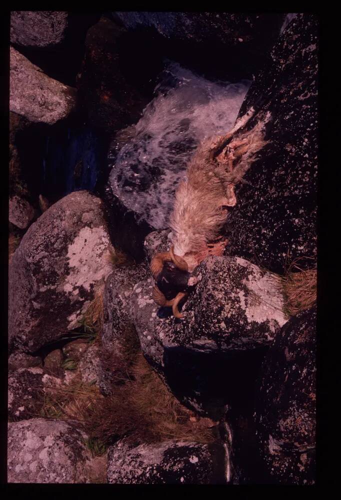 An image from the Dartmoor Trust Archive