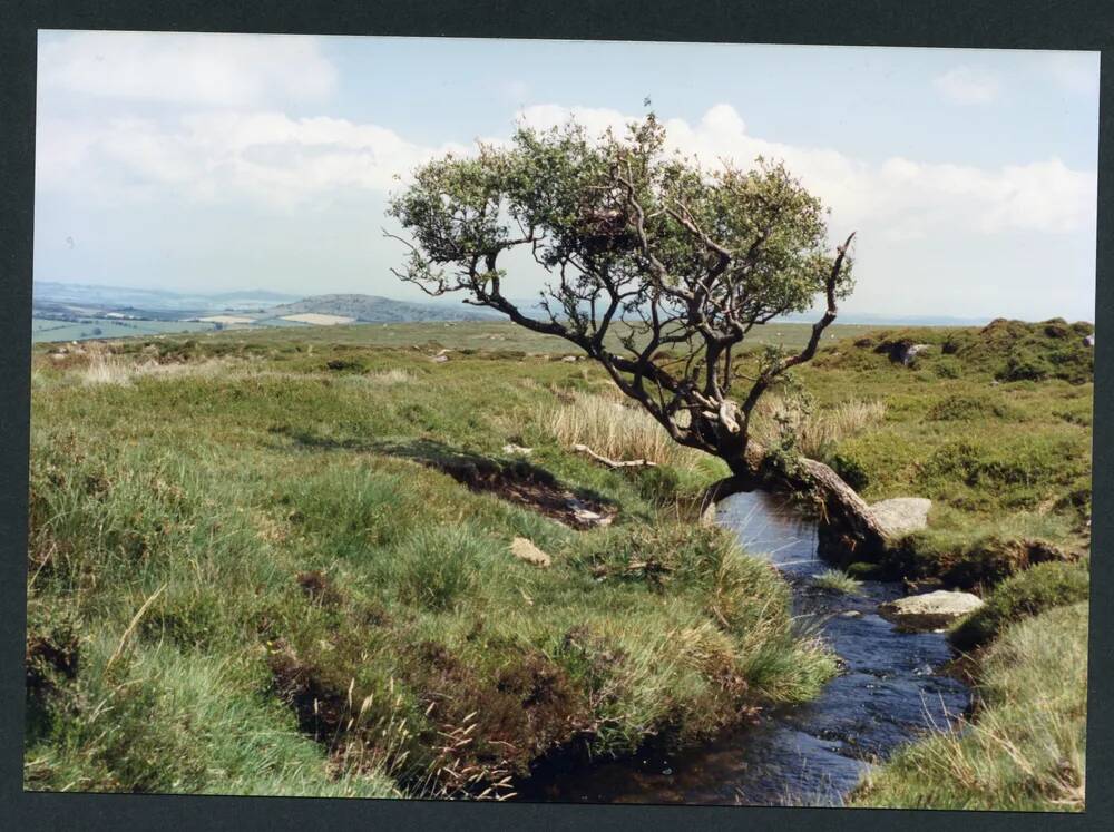 An image from the Dartmoor Trust Archive