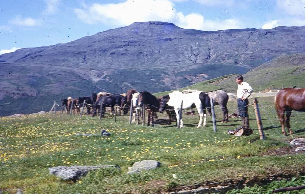 An image from the Dartmoor Trust Archive