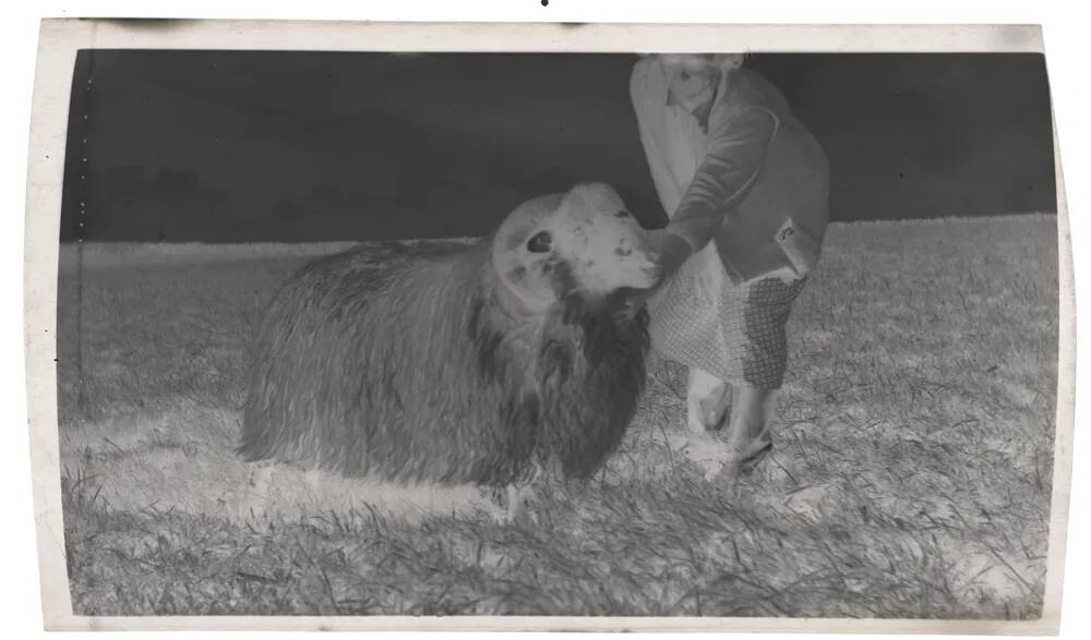 An image from the Dartmoor Trust Archive