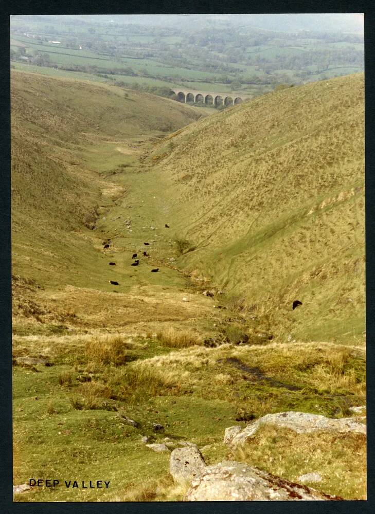 An image from the Dartmoor Trust Archive