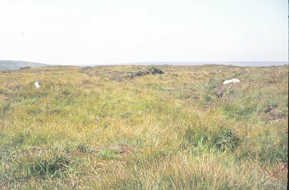 Hammond's Cut peat pass