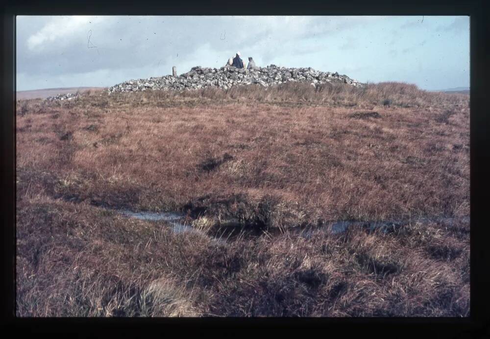 Western White barrow