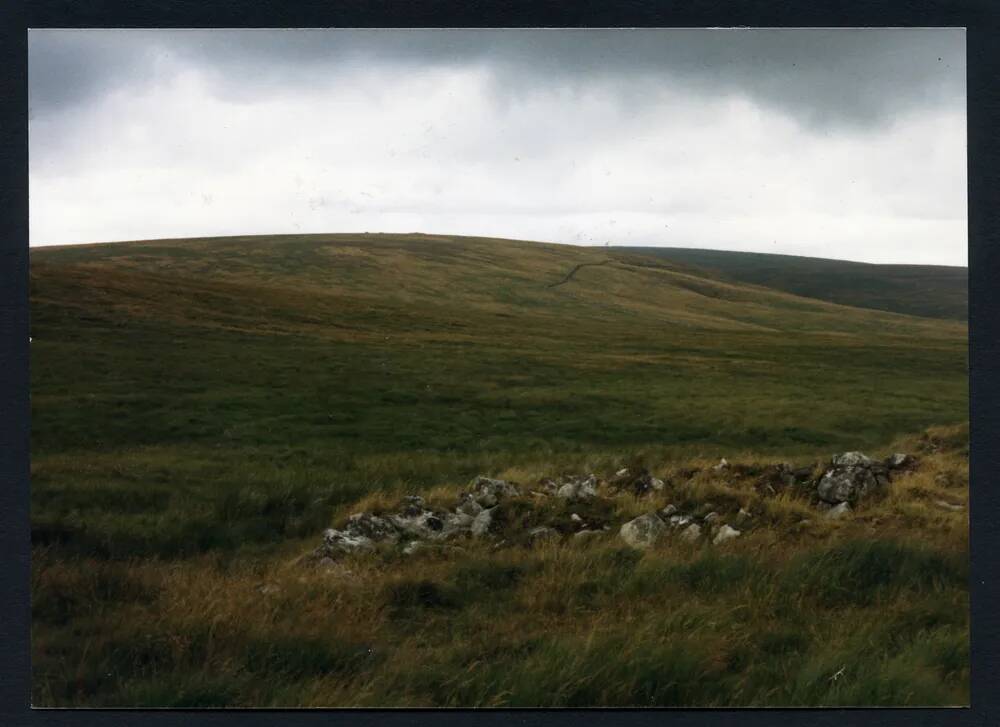 An image from the Dartmoor Trust Archive