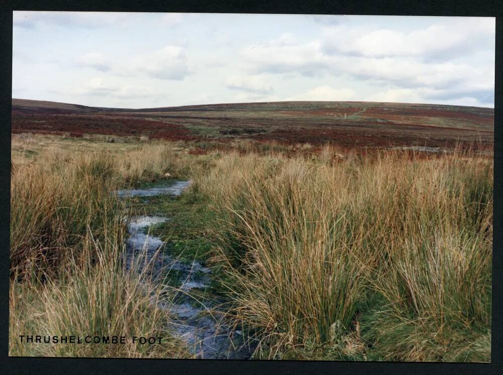 An image from the Dartmoor Trust Archive