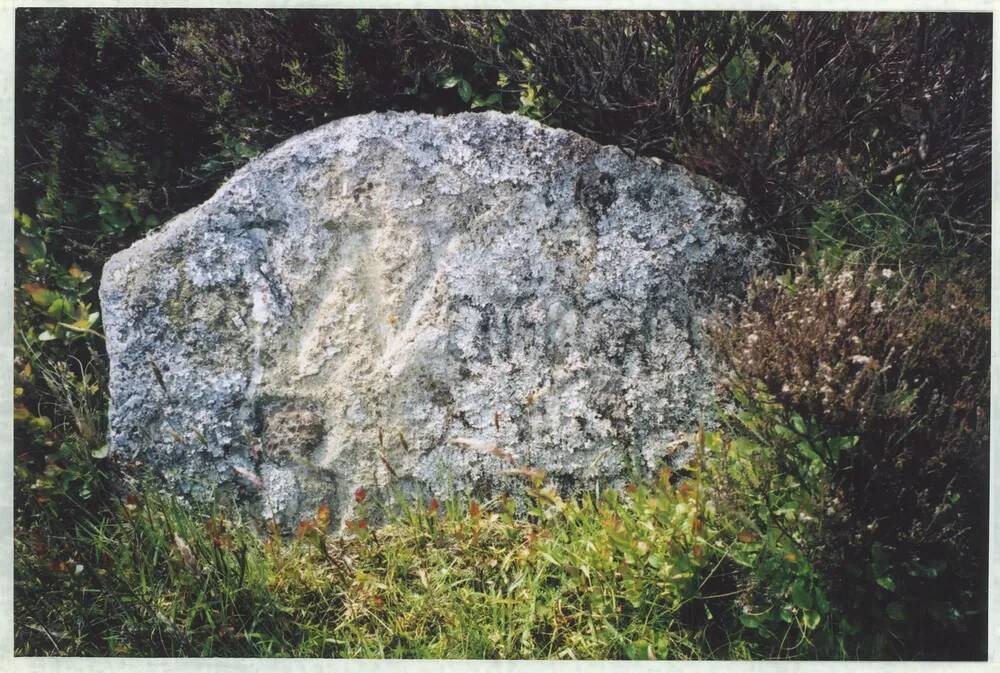 An image from the Dartmoor Trust Archive