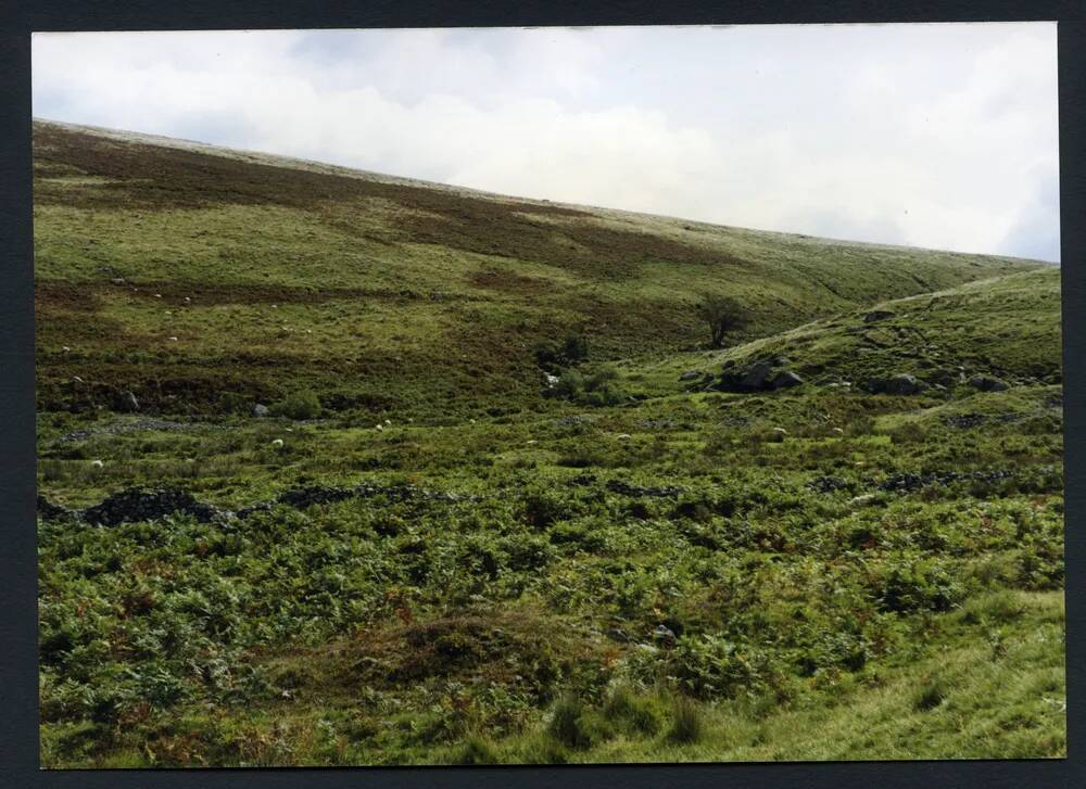 An image from the Dartmoor Trust Archive