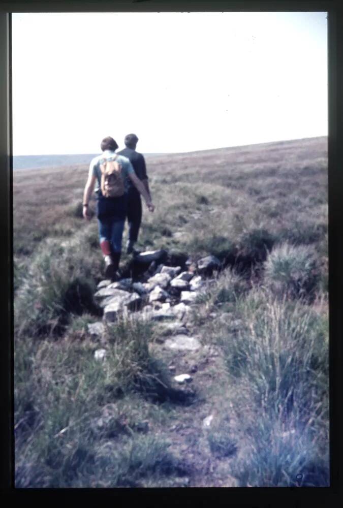 Peat Pass at Flat Tor