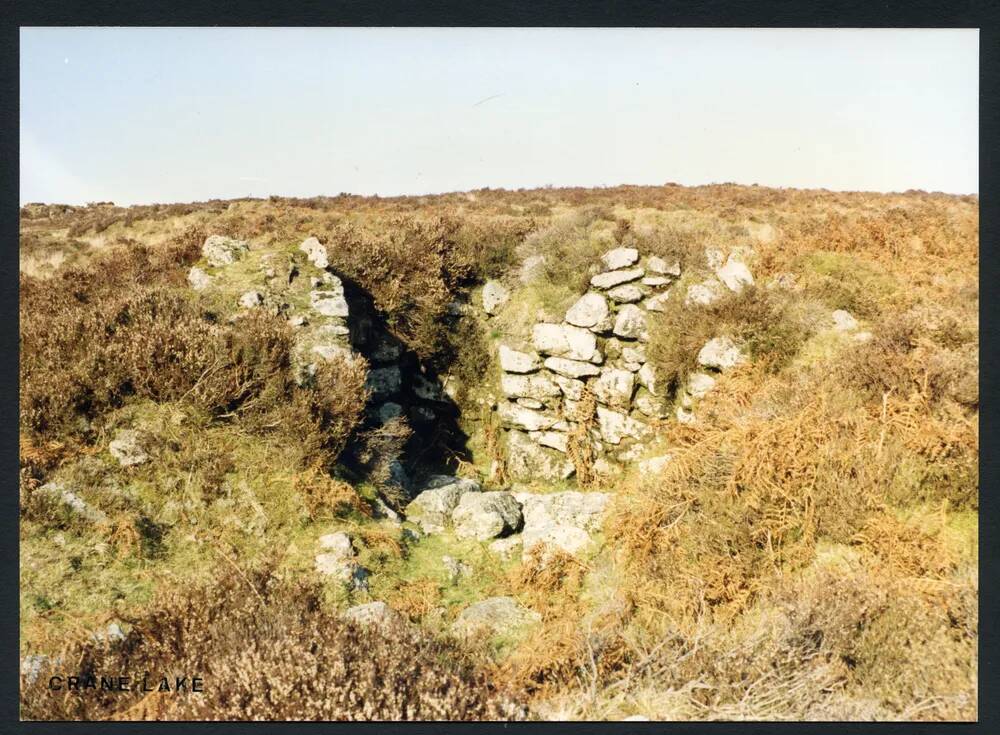 An image from the Dartmoor Trust Archive