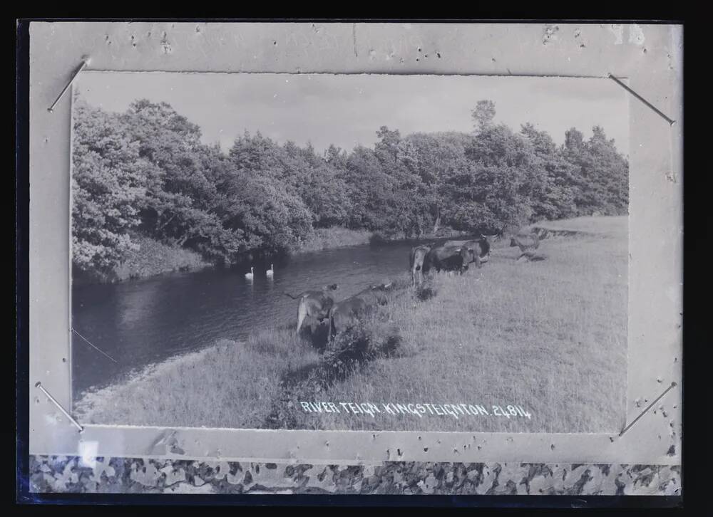 River Teign, Kingsteignton