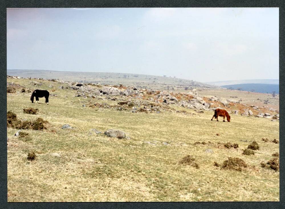 An image from the Dartmoor Trust Archive