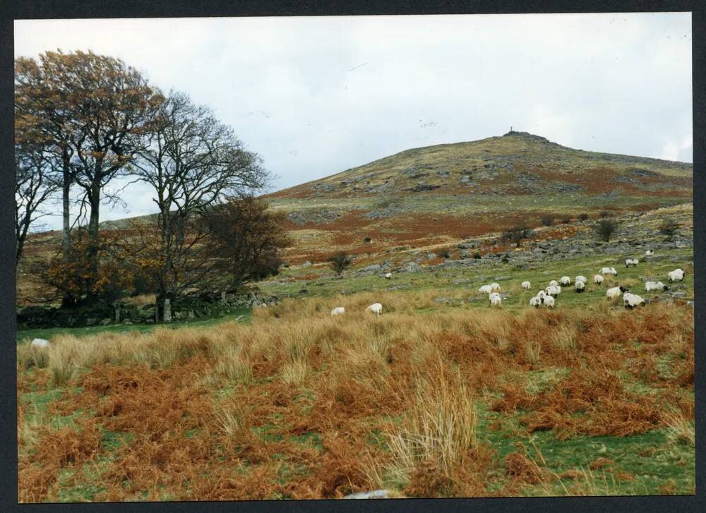 An image from the Dartmoor Trust Archive