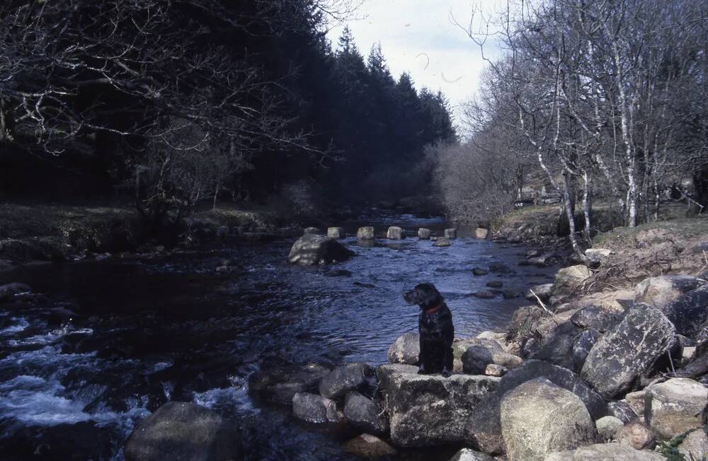 An image from the Dartmoor Trust Archive