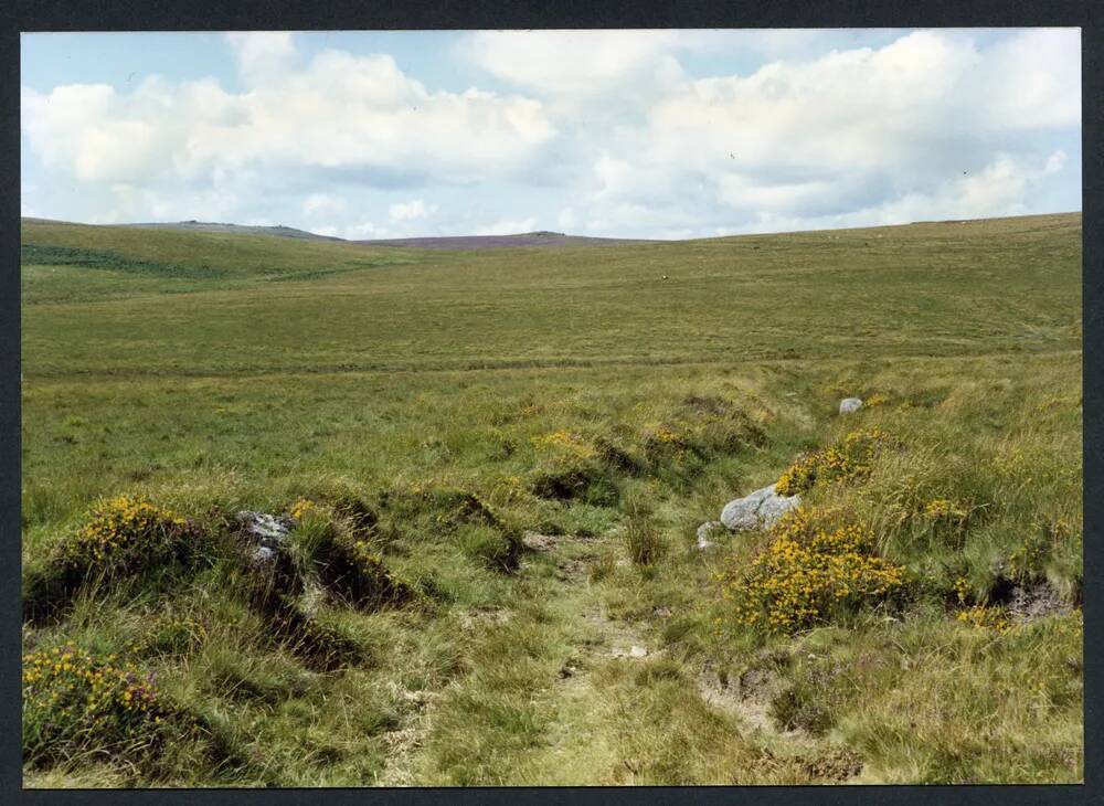 An image from the Dartmoor Trust Archive