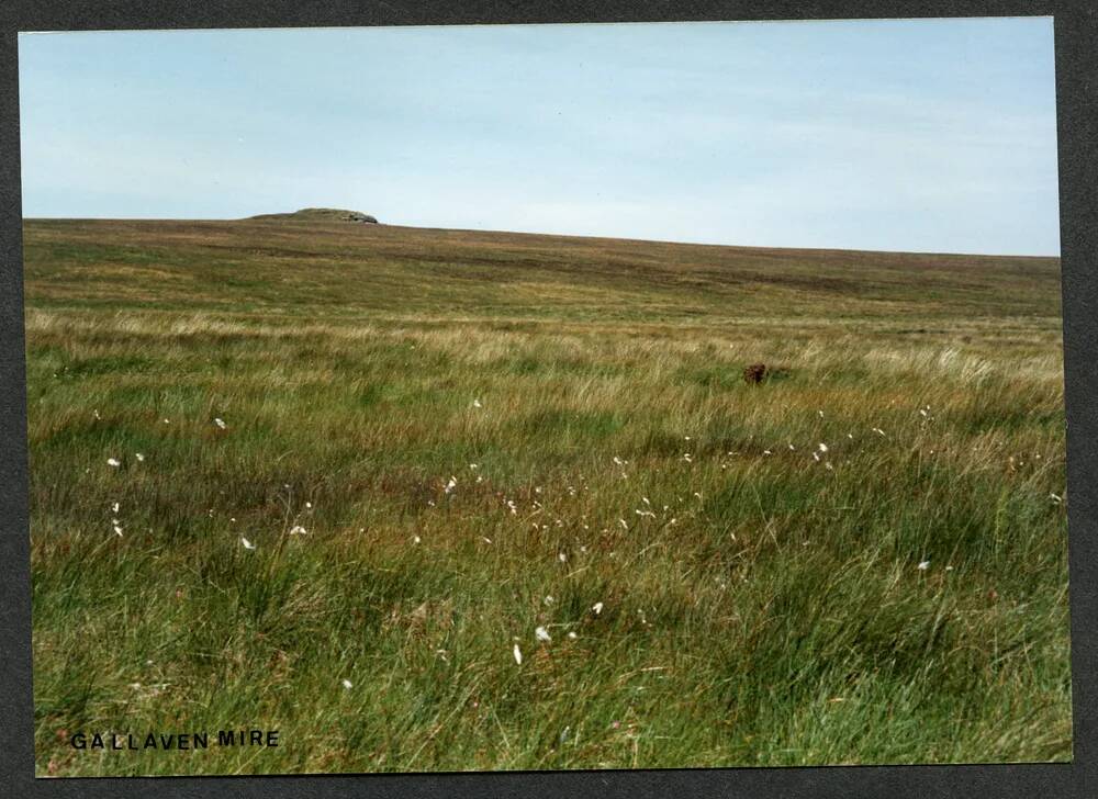 An image from the Dartmoor Trust Archive