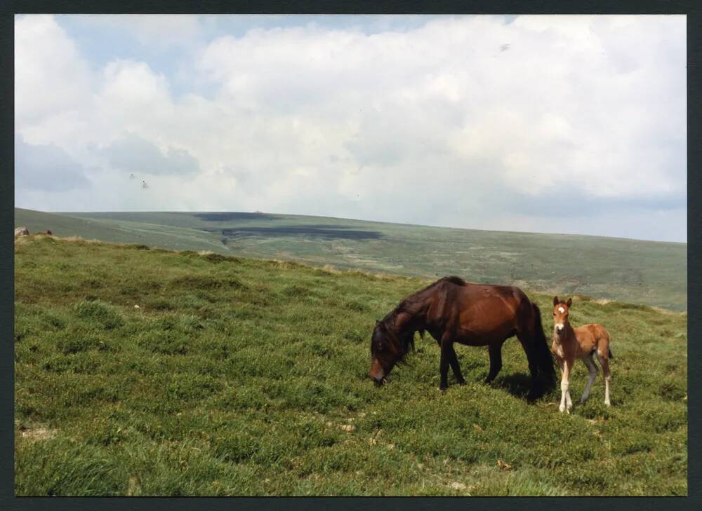 23/34 Old Hill to Bala Brook and East Whittaburrow 20/6/1991