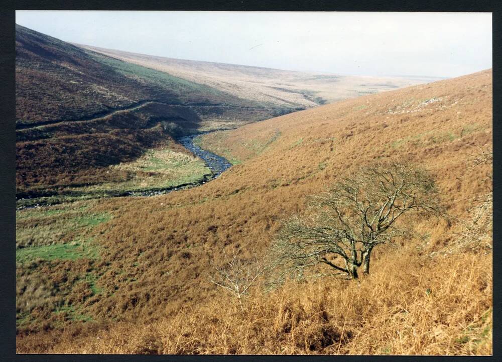 An image from the Dartmoor Trust Archive