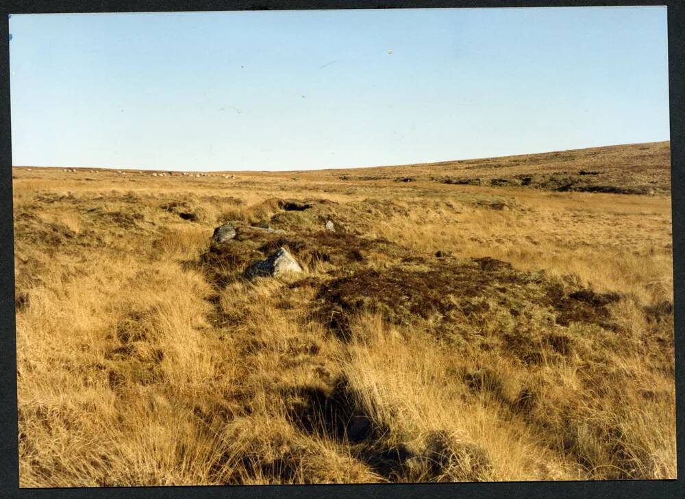 An image from the Dartmoor Trust Archive