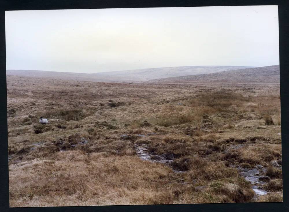 An image from the Dartmoor Trust Archive