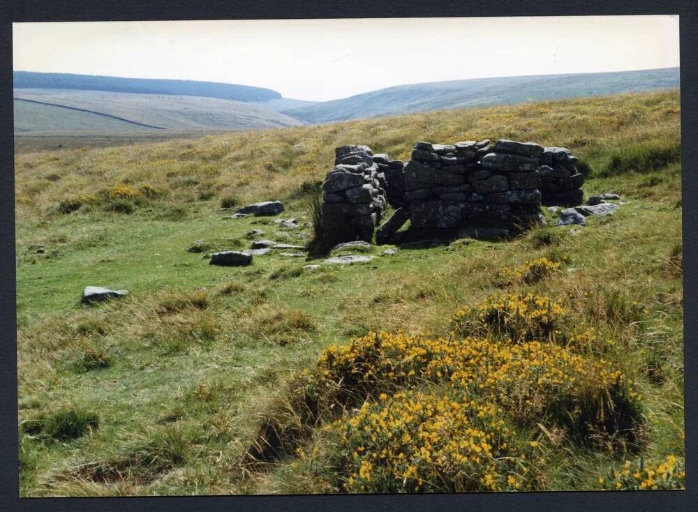 An image from the Dartmoor Trust Archive