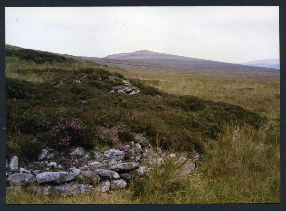 An image from the Dartmoor Trust Archive