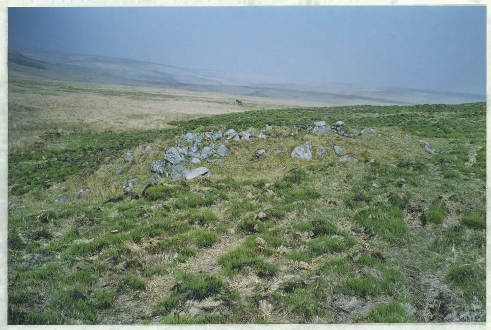 An image from the Dartmoor Trust Archive