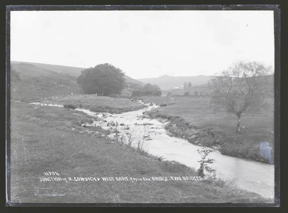 Junction of River Cowsick + West Dart, Lydford