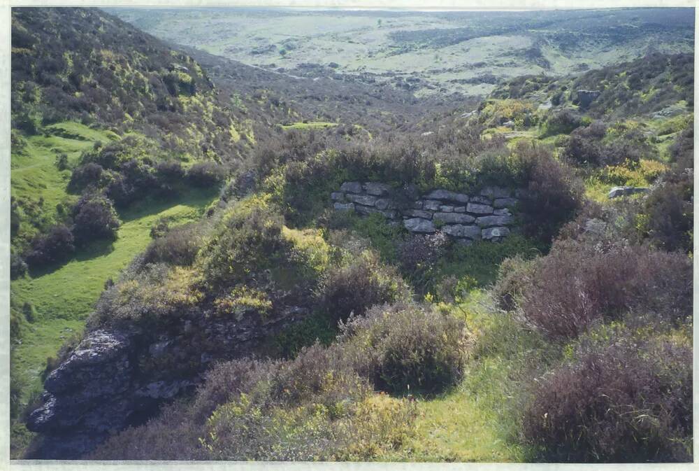 An image from the Dartmoor Trust Archive