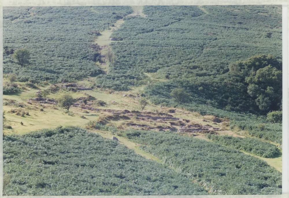 An image from the Dartmoor Trust Archive