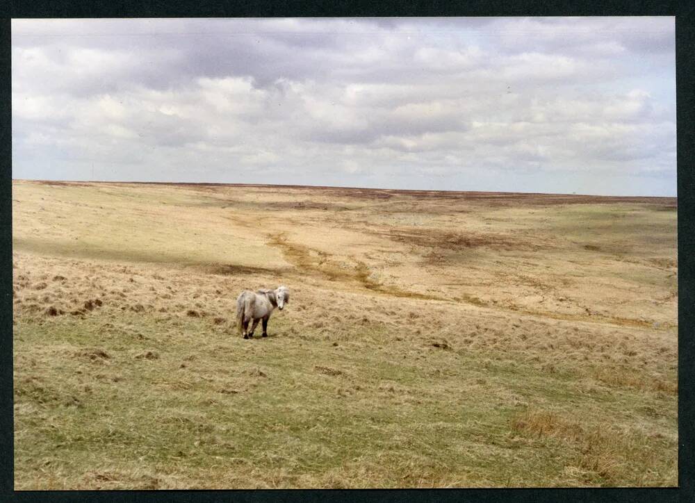 An image from the Dartmoor Trust Archive