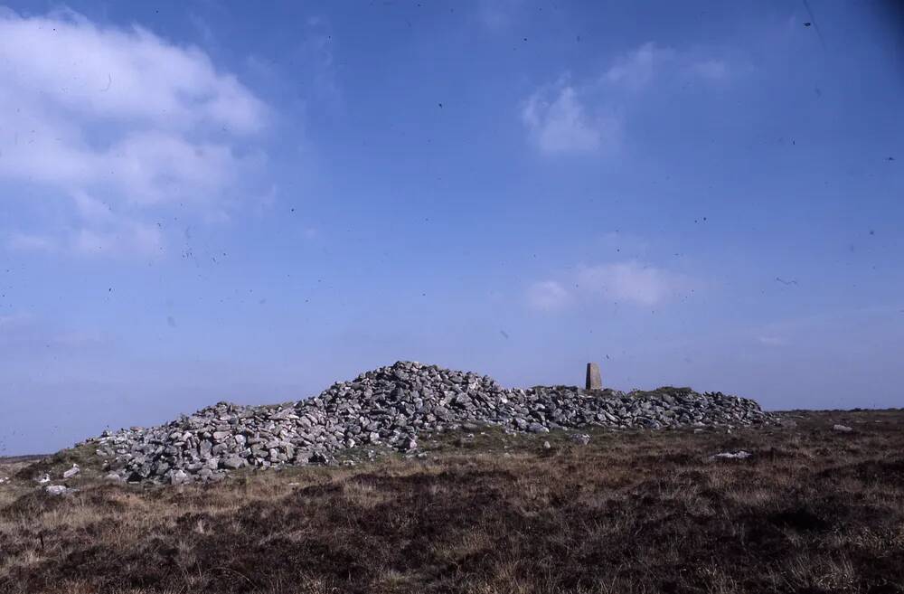 An image from the Dartmoor Trust Archive