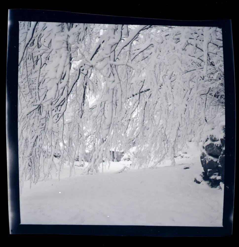 An image from the Dartmoor Trust Archive