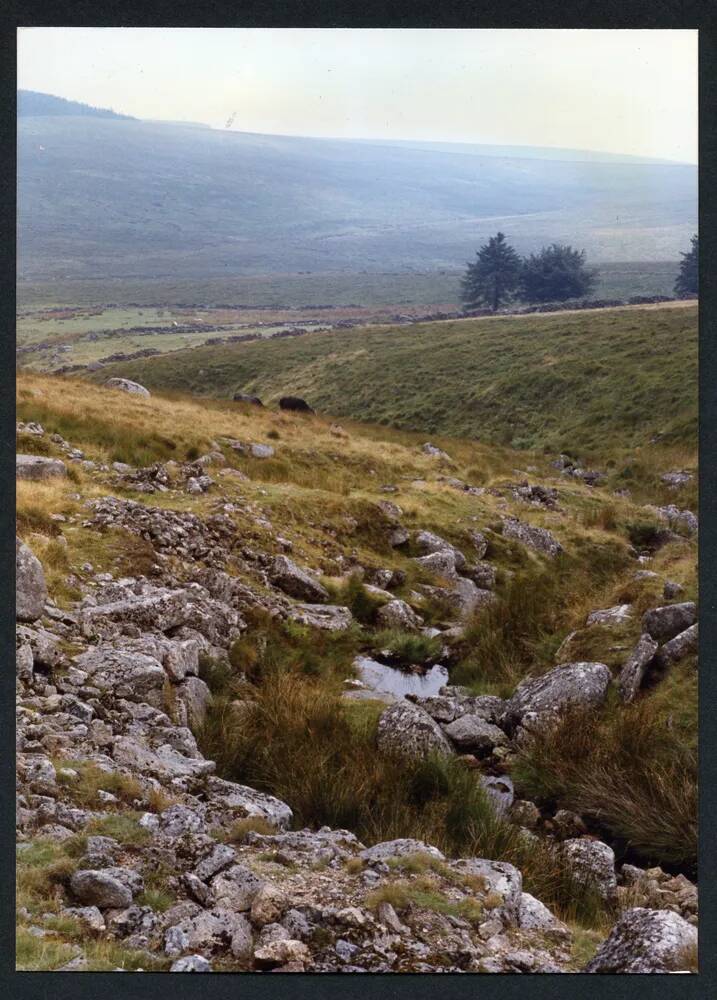 An image from the Dartmoor Trust Archive