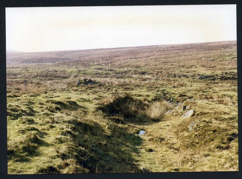 An image from the Dartmoor Trust Archive