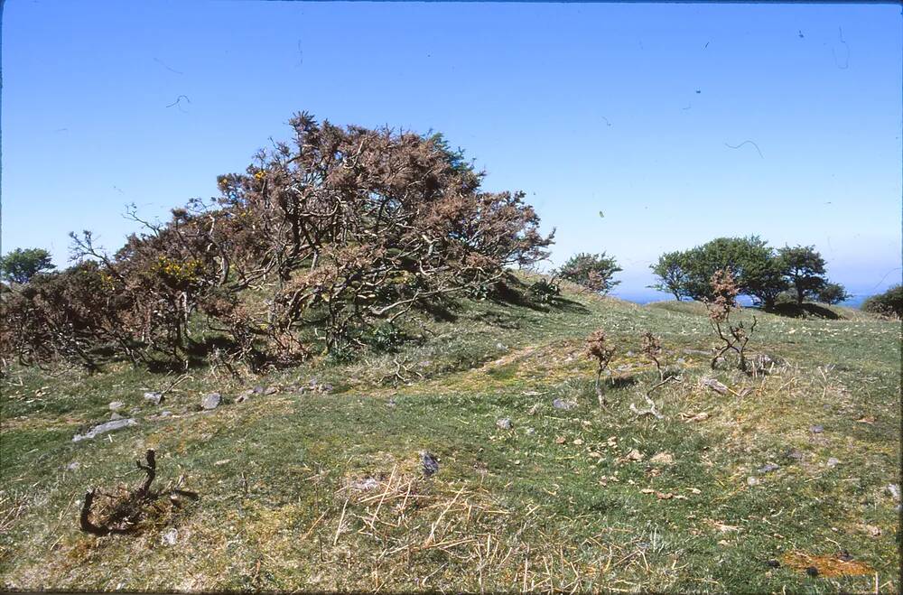 Iron Age hill-fort near Okehampton