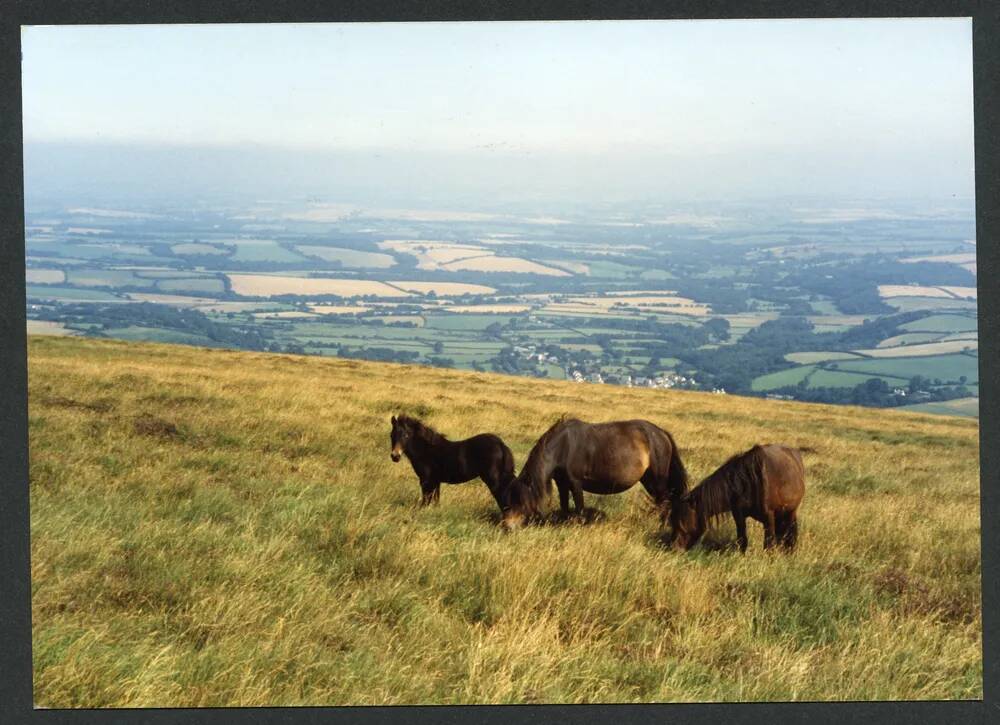 An image from the Dartmoor Trust Archive