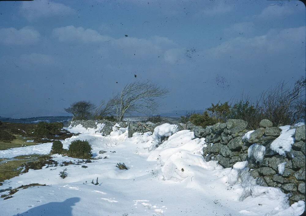 An image from the Dartmoor Trust Archive