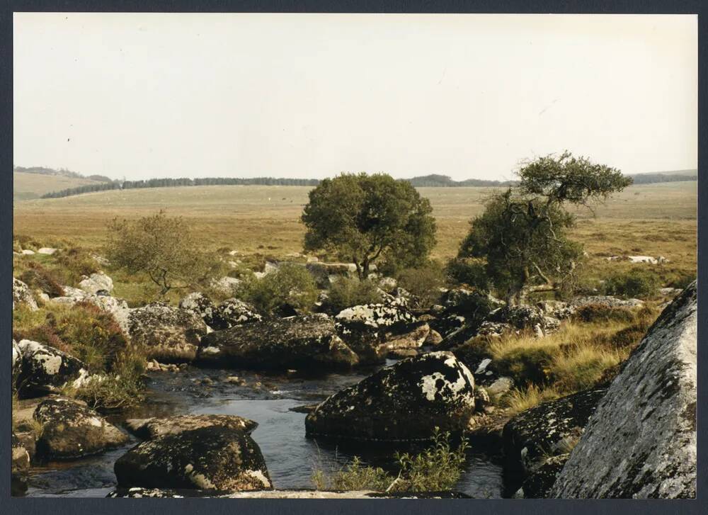 An image from the Dartmoor Trust Archive