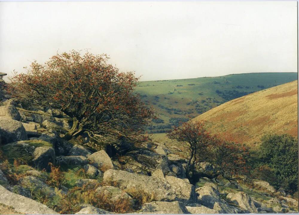 An image from the Dartmoor Trust Archive