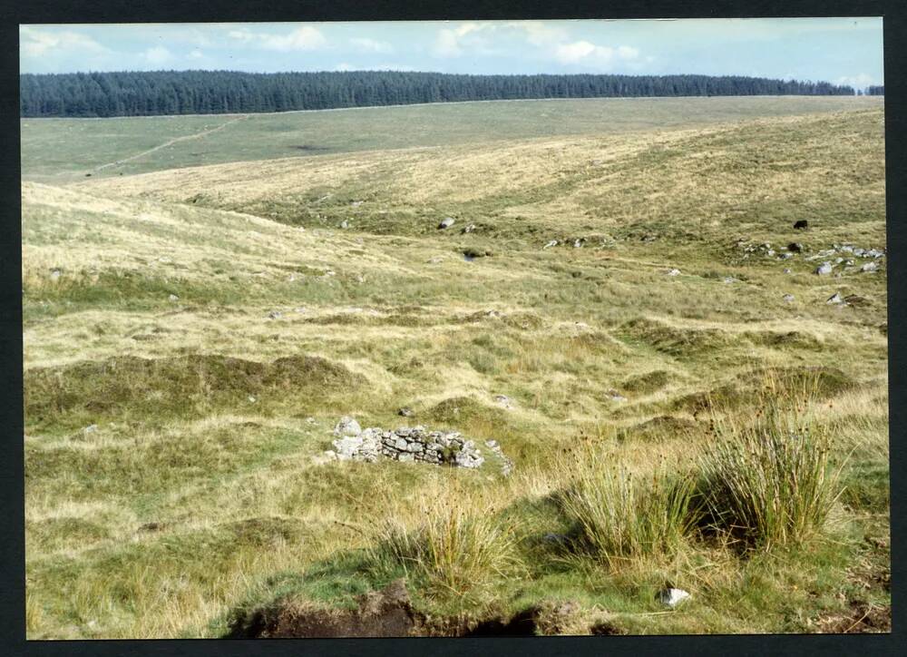 An image from the Dartmoor Trust Archive