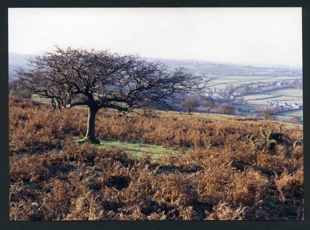 An image from the Dartmoor Trust Archive