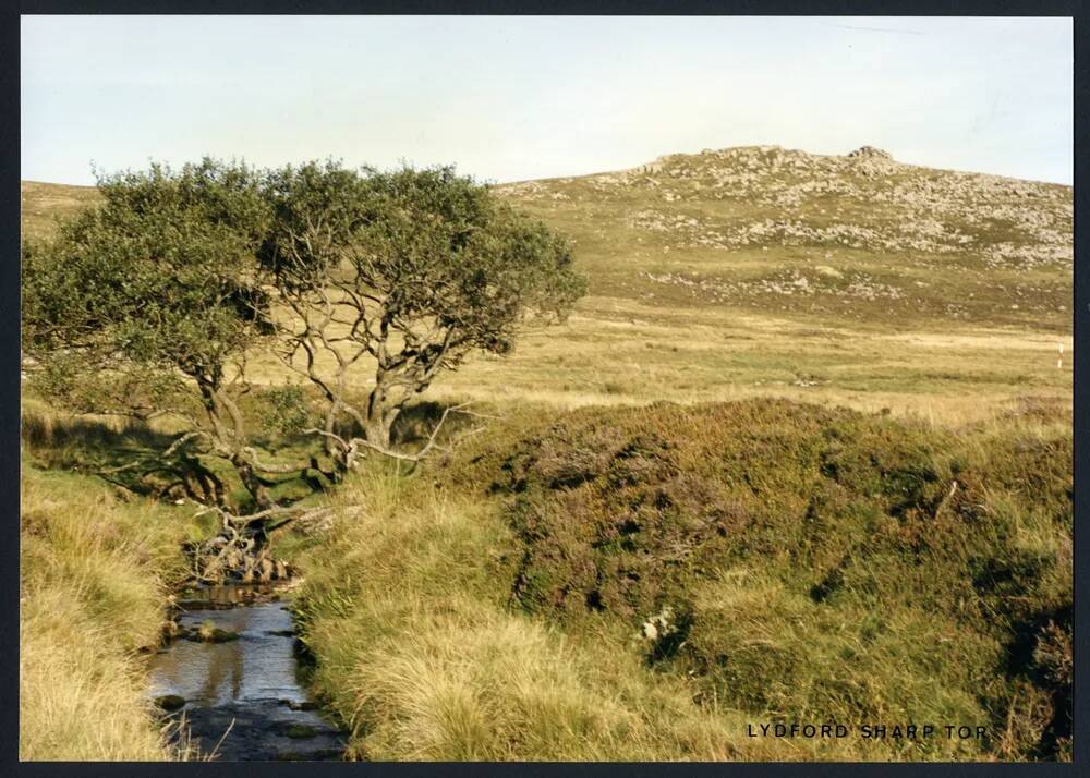 An image from the Dartmoor Trust Archive